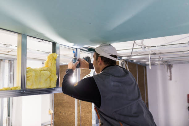 Best Cellulose Insulation in Bowie, TX