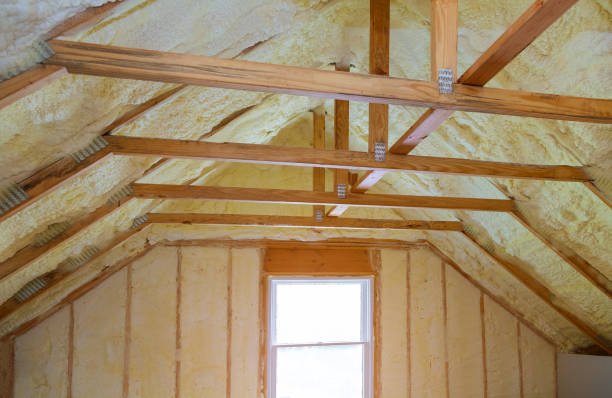 Best Specialized Insulation Services in Bowie, TX