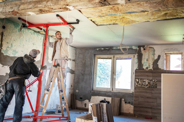 Best Eco-Friendly Insulation in Bowie, TX
