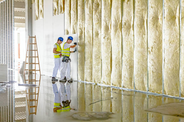 Best Residential Insulation in Bowie, TX